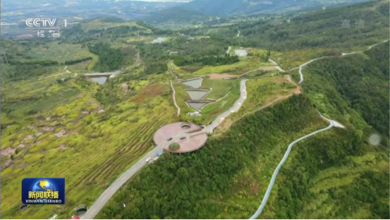 迎橄榄丰收 助乡村振兴 四川庄闲游戏聚峰谷油橄榄产业带动金堂公园城市绿色低碳发展