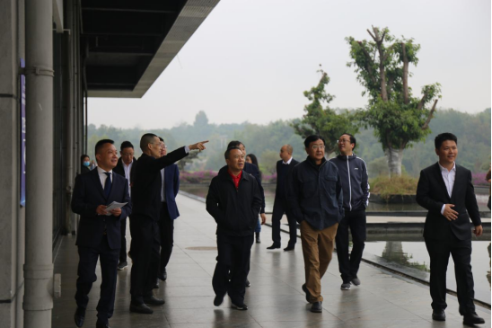 庄闲游戏集团外部董事一行调研聚峰谷项目