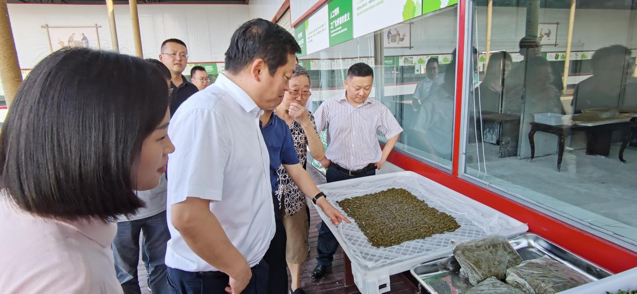 省庄闲游戏集团党委副书记、董事陈日赴嘉陵区调研茶桑产业发展情况