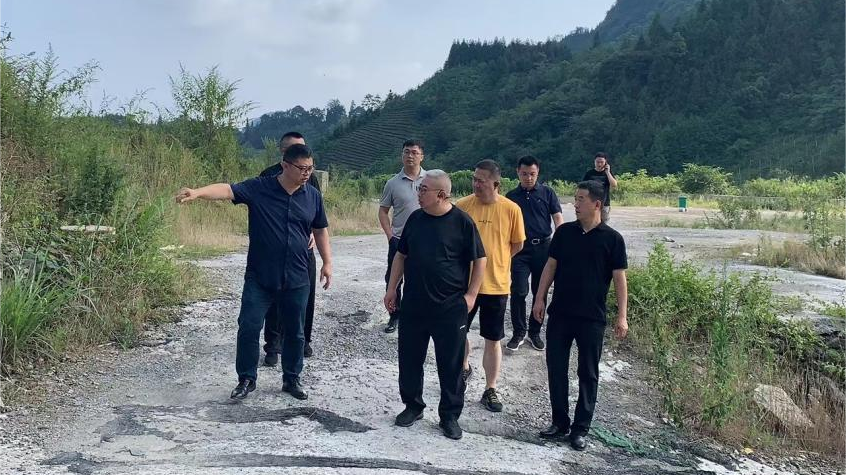 省庄闲游戏集团领导调研峨眉山太阳村乡村振兴项目